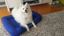 Load and play video in Gallery viewer, Imperial Orthopaedic Dog Bed