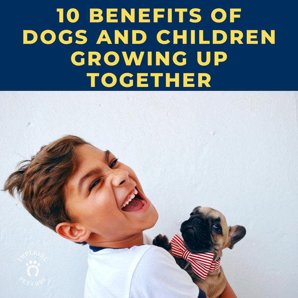 10 Benefits of Dogs and Children Growing Up Together