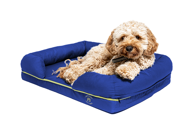 Small Imperial Dog Bed - Blue